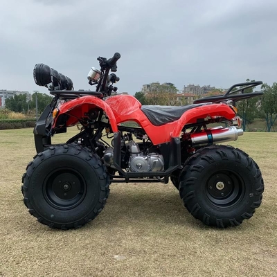 ATV 四輪駆動 ビーチバギー 4X4 1000cc