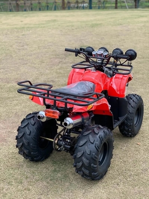 ATV 四輪駆動 ビーチバギー 4X4 1000cc
