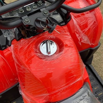 ATV 四輪駆動 ビーチバギー 4X4 1000cc