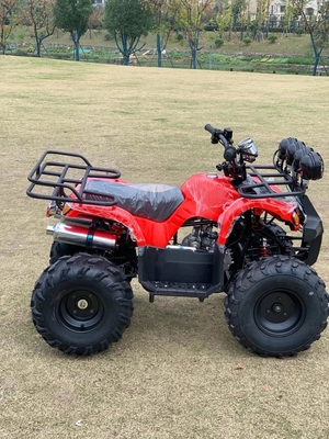 ATV 四輪駆動 ビーチバギー 4X4 1000cc