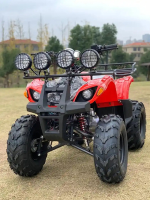 ATV 四輪駆動 ビーチバギー 4X4 1000cc